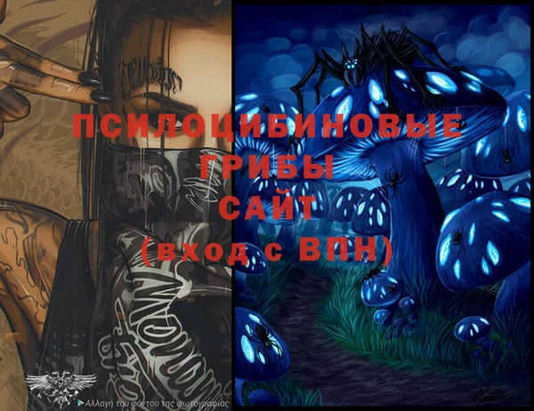 МДПВ Абинск