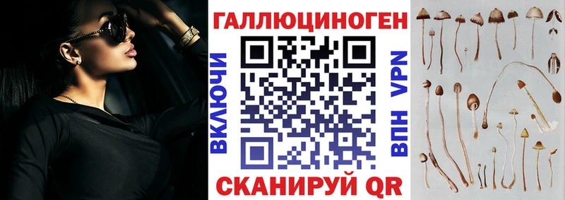 Псилоцибиновые грибы Magic Shrooms  купить наркотик  кракен как войти  Тетюши 